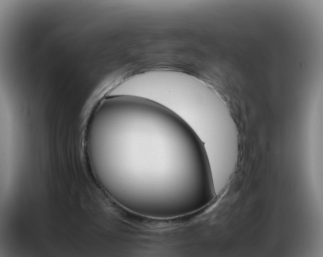 X0000086790293200704201849