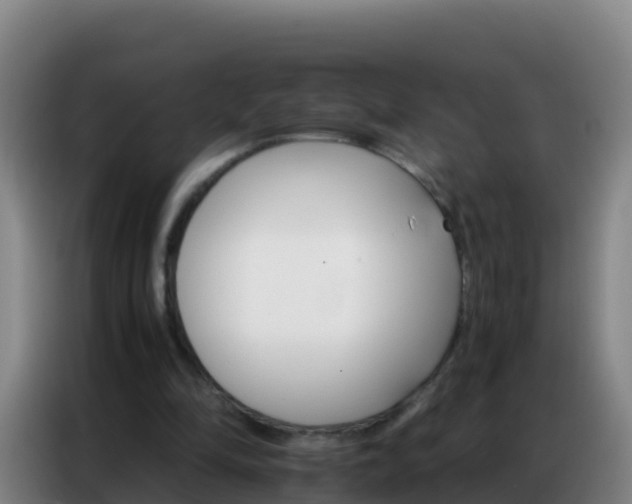 X0000086790294200704201849