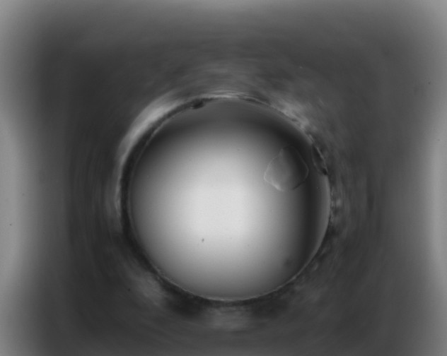 X0000086790296200704201849