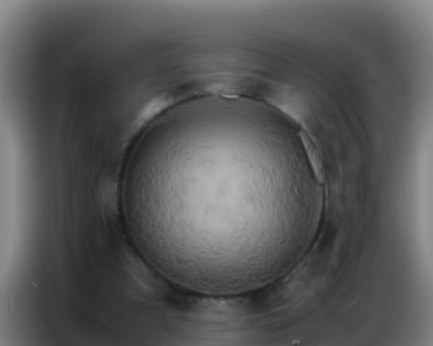 X0000086790297200704201849