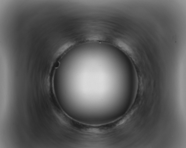 X0000086790298200704201849
