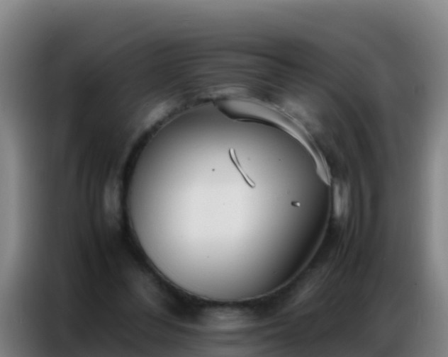 X0000086790300200704201849