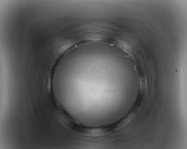 X0000086790301200704201849