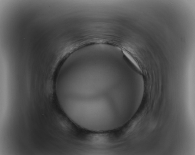 X0000086790303200704201849