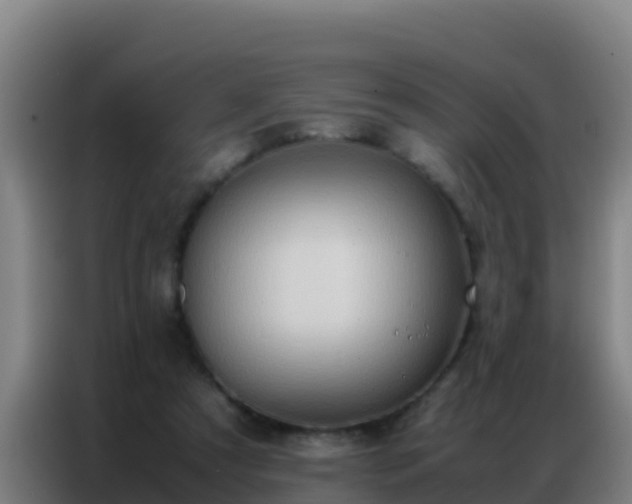 X0000086790305200704201849