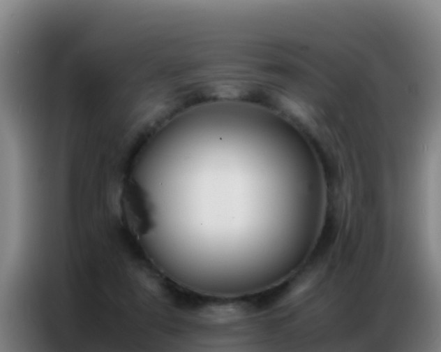 X0000086790307200704201849