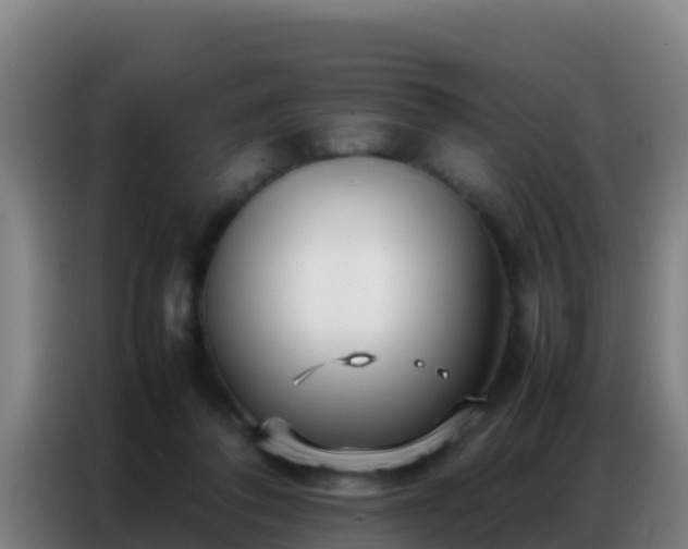 X0000086790308200704201849