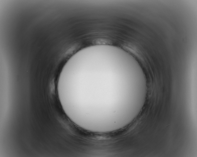 X0000086790310200704201849
