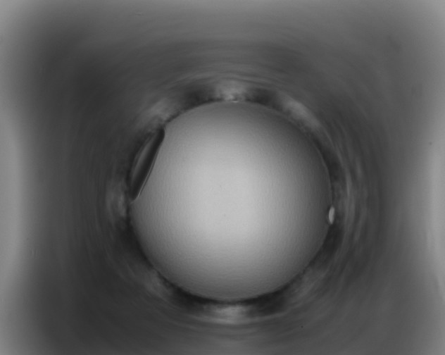 X0000086790313200704201849
