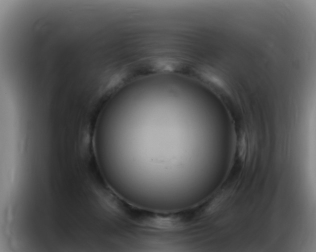 X0000086790314200704201849