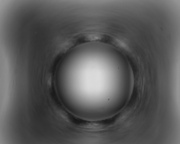 X0000086790315200704201849