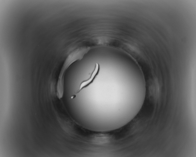 X0000086790316200704201849
