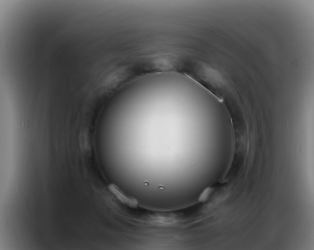 X0000086790317200704201849