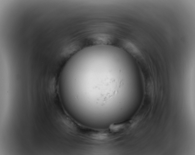 X0000086790318200704201849