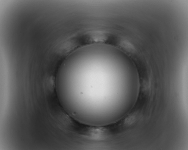 X0000086790321200704201849