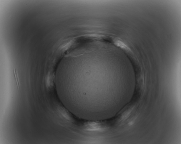 X0000086790325200704201849