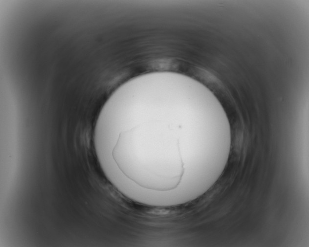 X0000086790326200704201849