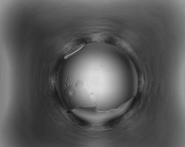 X0000086790329200704201849