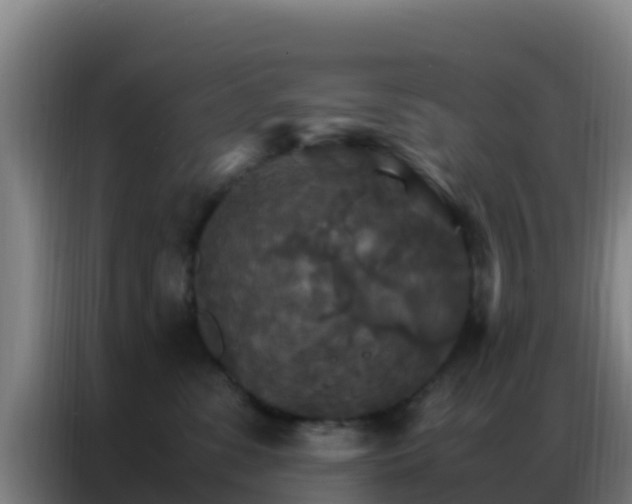 X0000086790331200704201849