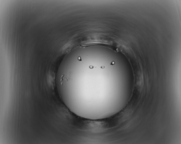 X0000086790332200704201848