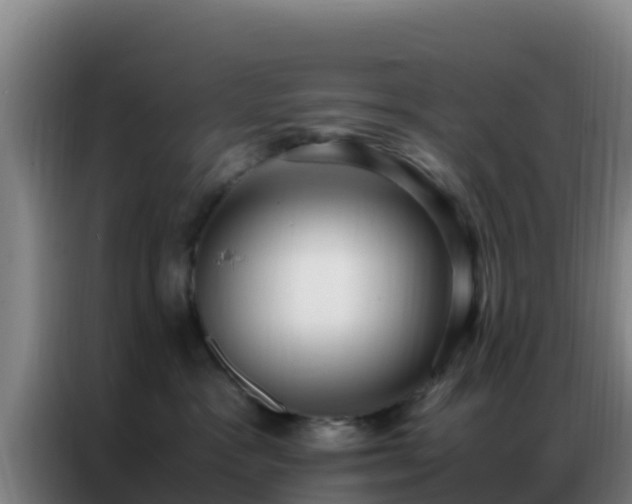 X0000086790333200704201848