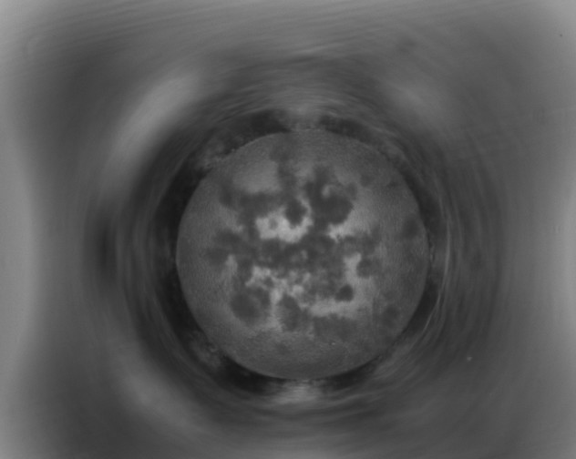 X0000086790335200704201848
