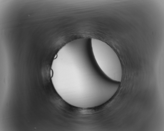 X0000086790336200704201848