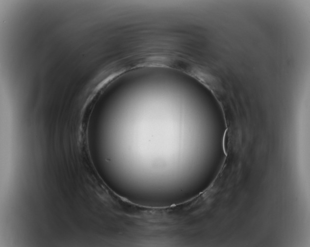 X0000086790338200704201848