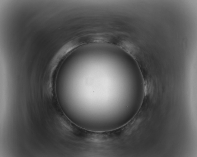 X0000086790339200704201848