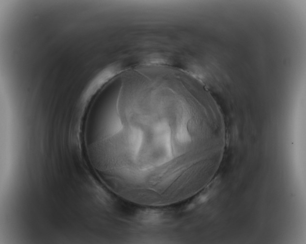X0000086790341200704201848