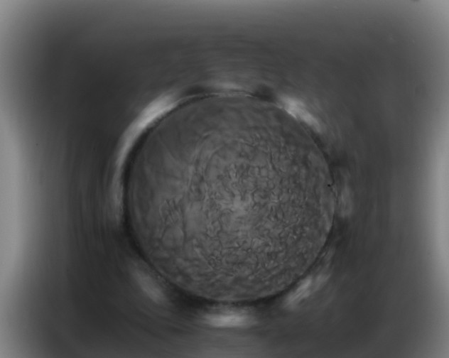 X0000086790343200704201848