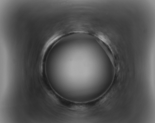 X0000086790344200704201848