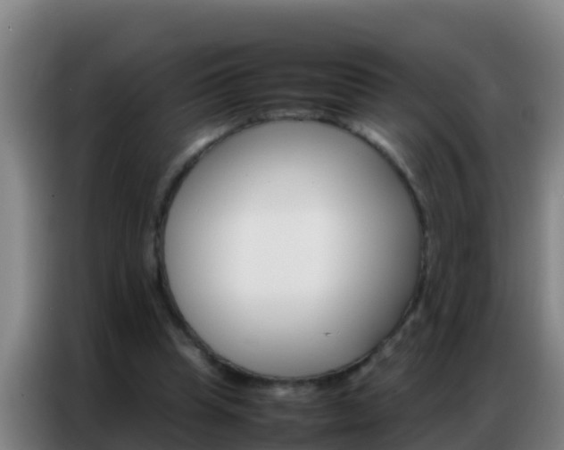 X0000086790345200704201848
