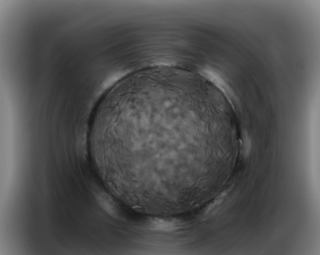 X0000086790346200704201848