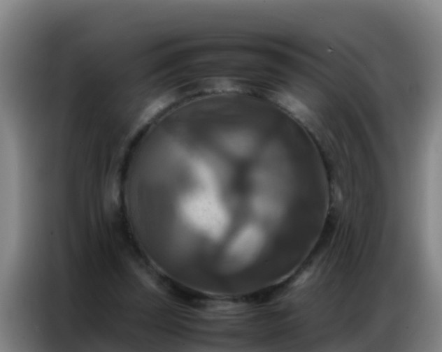 X0000086790347200704201848