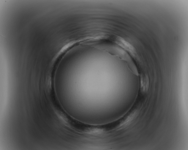 X0000086790348200704201848