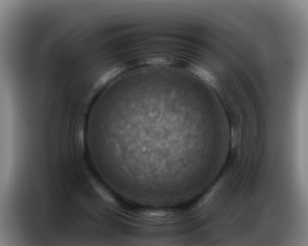 X0000086790349200704201848