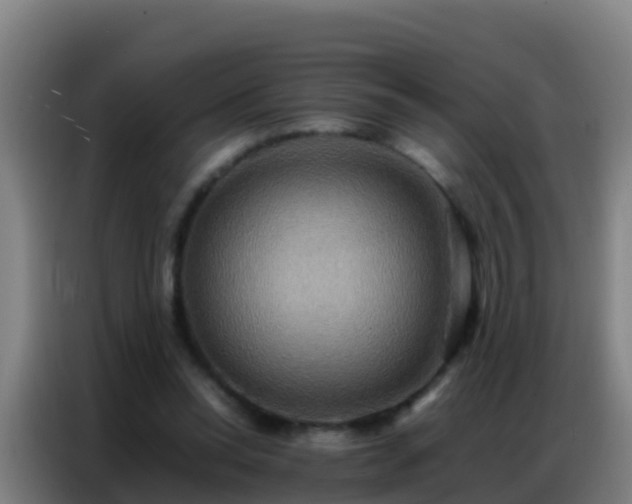 X0000086790350200704201848