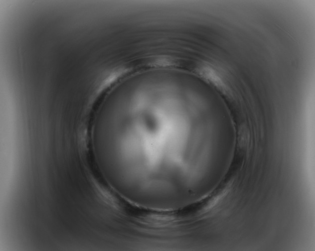 X0000086790351200704201848