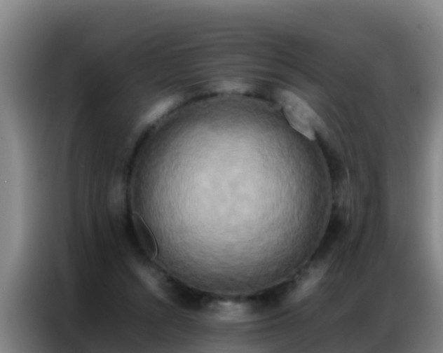X0000086790352200704201848