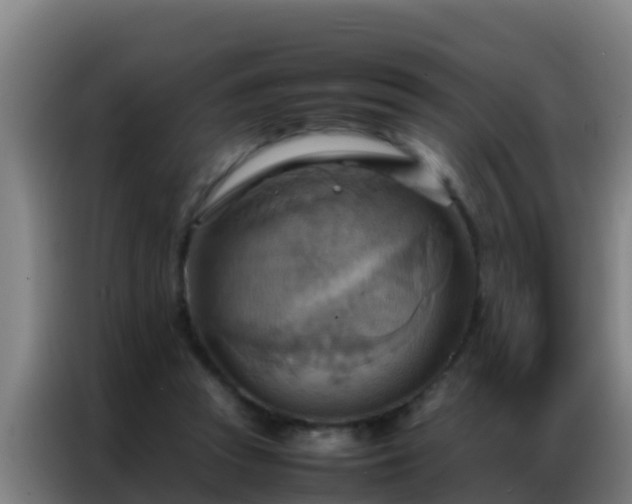 X0000086790353200704201848