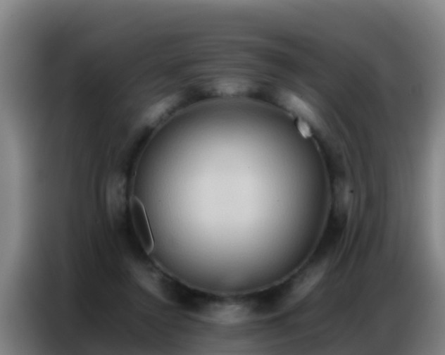 X0000086790356200704201848