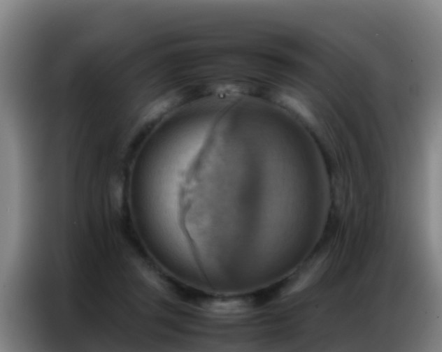 X0000086790357200704201848