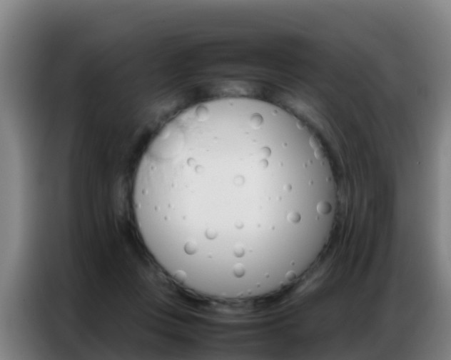 X0000086790359200704201848