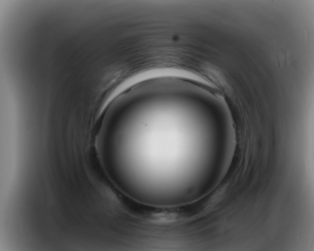 X0000086790362200704201848