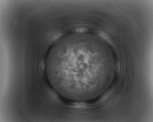 X0000086790363200704201848