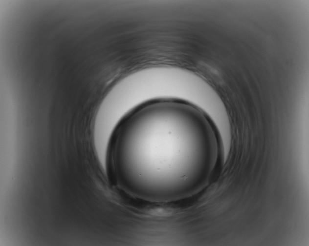 X0000086790364200704201848