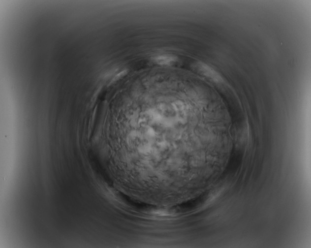 X0000086790365200704201848