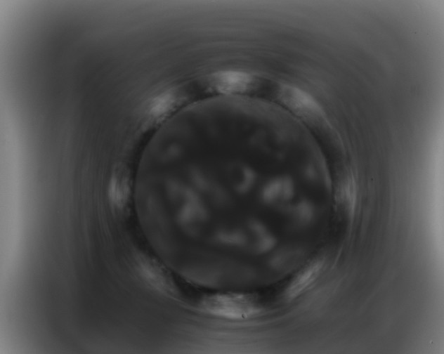X0000086790367200704201848
