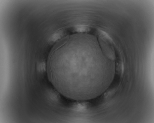 X0000086790368200704201848